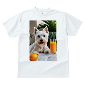 TVc fB[X t@  t vg JWA 킢 lԗp tBbglX W[X EGXgnChzCgeA IW