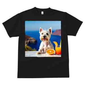 TVc fB[X t@  t vg JWA 킢 lԗp tBbglX IW EGXgnChzCgeA W[X