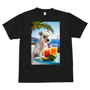 TVc Y LbY t@  t vg JWA 킢 lԗp tBbglX W[X EGXgnChzCgeA C C ][g