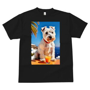 TVc fB[X t@  t vg JWA 킢 lԗp tBbglX W[X EGXgnChzCgeA C ][g