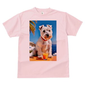 TVc Y LbY t@  t vg JWA 킢 lԗp tBbglX W[X EGXgnChzCgeA C ][g