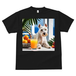 TVc Y LbY t@  t vg JWA 킢 lԗp tBbglX W[X EGXgnChzCgeA IW t[c JNe gsJ