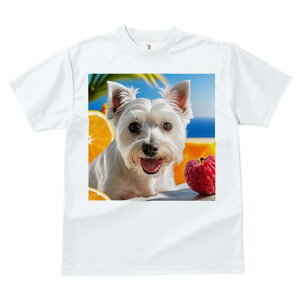 TVc Y LbY t@  t vg JWA 킢 lԗp tBbglX IW EGXgnChzCgeA Yx[ C V̖