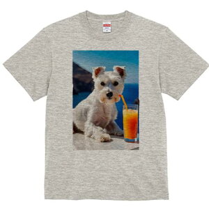 TVc Y LbY t@  t vg JWA 킢 lԗp tBbglX W[X EGXgnChzCgeA Xg[