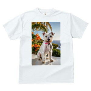 TVc fB[X t@  t vg JWA 킢 lԗp tBbglX  EGXgnChzCgeA C  V̖