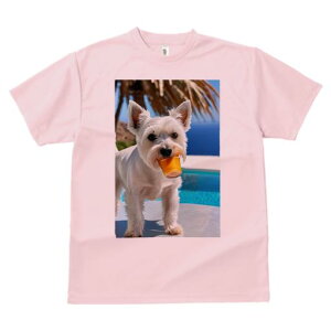 TVc Y LbY t@  t vg JWA 킢 lԗp tBbglX v[ EGXgnChzCgeA W[X