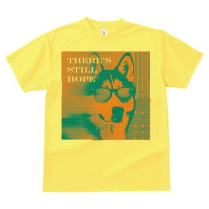 TVc Y LbY t@  t vg JWA 킢 lԗp tBbglX Kl nXL[ |bvA[g