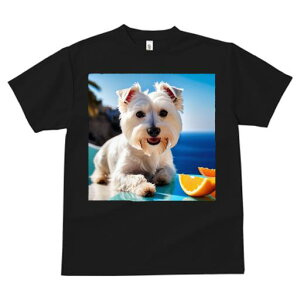 TVc Y LbY t@  t vg JWA 킢 lԗp tBbglX IW EGXgnChzCgeA