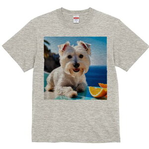 TVc Y LbY t@  t vg JWA 킢 lԗp tBbglX IW EGXgnChzCgeA