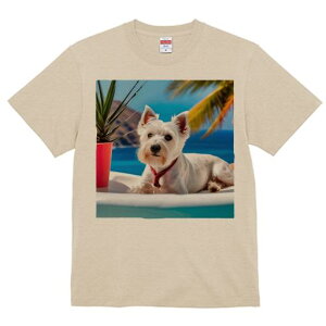 TVc Y LbY t@  t vg JWA 킢 lԗp tBbglX V̖ EGXgnChzCgeA C r[` ϗtA