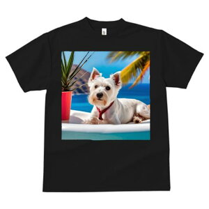 TVc fB[X t@  t vg JWA 킢 lԗp tBbglX V̖ EGXgnChzCgeA C r[` ϗtA