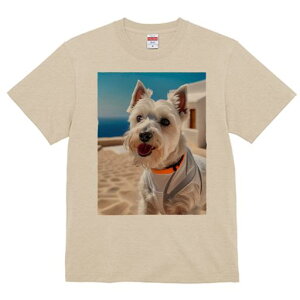 TVc Y LbY t@  t vg JWA 킢 lԗp tBbglX EGXgnChzCgeA