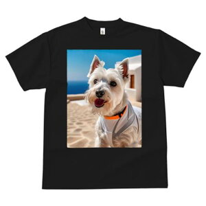 TVc fB[X t@  t vg JWA 킢 lԗp tBbglX EGXgnChzCgeA