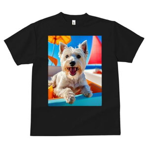 TVc fB[X t@  t vg JWA 킢 lԗp tBbglX  EGXgnChzCgeA C r[` bg