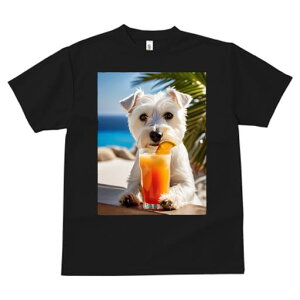 TVc fB[X t@  t vg JWA 킢 lԗp tBbglX JNe EGXgnChzCgeA C V̖