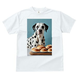 TVc fB[X t@  t vg JWA 킢 lԗp tBbglX p _VA Hו fU[g XC[c