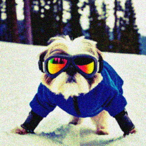 S[O V[Y[ XL[EFA  NbVJo[ 45×45cm Aj}   NbV{̕t `