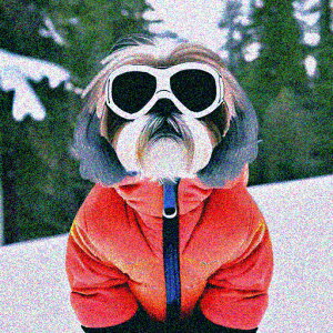 XL[EFA V[Y[ XL[S[O  NbVJo[ 45×45cm Aj}   NbV{̕t `