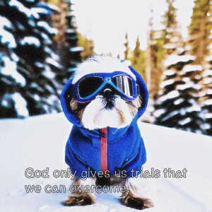 XL[ V[Y[ ~  XL[EFA NbVJo[ 45×45cm Aj}   NbV{̕t `