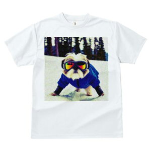 TVc fB[X t@  t vg JWA 킢 lԗp tBbglX S[O V[Y[ XL[EFA 