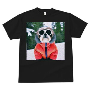 TVc fB[X t@  t vg JWA 킢 lԗp tBbglX XL[EFA V[Y[ XL[S[O 