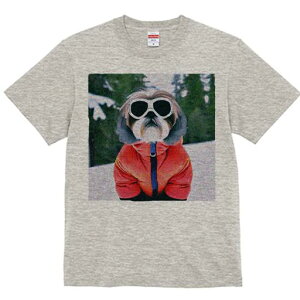 TVc Y LbY t@  t vg JWA 킢 lԗp tBbglX XL[EFA V[Y[ XL[S[O 