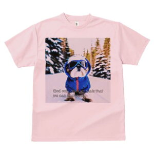 TVc Y LbY t@  t vg JWA 킢 lԗp tBbglX XL[ V[Y[ ~  XL[EFA