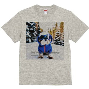 TVc Y LbY t@  t vg JWA 킢 lԗp tBbglX XL[ V[Y[ ~  XL[EFA