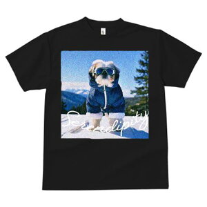 TVc fB[X t@  t vg JWA 킢 lԗp tBbglX XL[EFA V[Y[ R XL[S[O