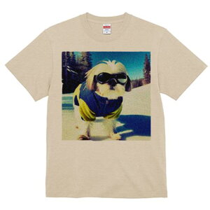 TVc Y LbY t@  t vg JWA 킢 lԗp tBbglX XL[ V[Y[ XL[EFA R S[O