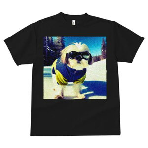 TVc Y LbY t@  t vg JWA 킢 lԗp tBbglX XL[ V[Y[ XL[EFA R S[O