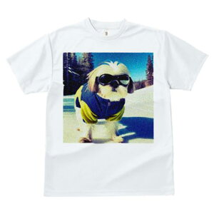 TVc fB[X t@  t vg JWA 킢 lԗp tBbglX XL[ V[Y[ XL[EFA R S[O