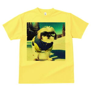 TVc Y LbY t@  t vg JWA 킢 lԗp tBbglX XL[ V[Y[ XL[EFA R S[O