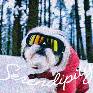 XL[S[O V[Y[  ~ XL[EFA NbVJo[ 45×45cm Aj}   NbV{̕t `