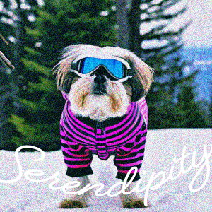 XL[EFA V[Y[ XL[S[O ~  NbVJo[ 45×45cm Aj}   NbV{̕t `