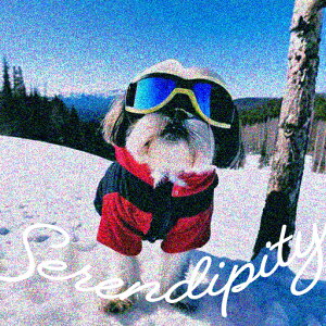 XL[ V[Y[ ~  XL[EFA NbVJo[ 45×45cm Aj}   NbV{̕t `