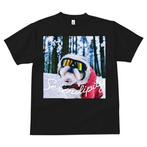 TVc Y LbY t@  t vg JWA 킢 lԗp tBbglX XL[S[O V[Y[  ~ XL[EFA