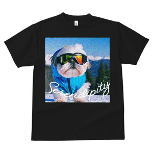 TVc fB[X t@  t vg JWA 킢 lԗp tBbglX XL[ V[Y[ XL[EFA R