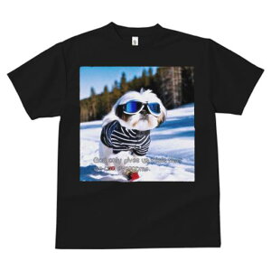 TVc fB[X t@  t vg JWA 킢 lԗp tBbglX TOX V[Y[  XL[EFA