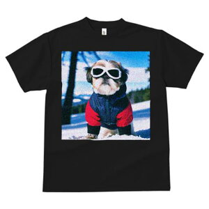 TVc fB[X t@  t vg JWA 킢 lԗp tBbglX  V[Y[ ~ XL[EFA S[O