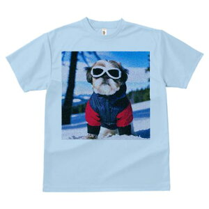 TVc Y LbY t@  t vg JWA 킢 lԗp tBbglX  V[Y[ ~ XL[EFA S[O