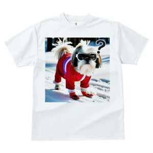 TVc Y LbY t@  t vg JWA 킢 lԗp tBbglX XL[ V[Y[ ~  XL[EFA