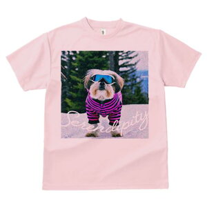 TVc Y LbY t@  t vg JWA 킢 lԗp tBbglX XL[EFA V[Y[ XL[S[O ~ 