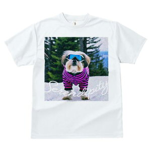 TVc fB[X t@  t vg JWA 킢 lԗp tBbglX XL[EFA V[Y[ XL[S[O ~ 