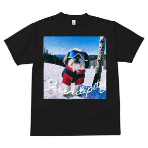 TVc fB[X t@  t vg JWA 킢 lԗp tBbglX XL[ V[Y[ ~  XL[EFA