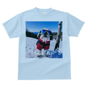 TVc Y LbY t@  t vg JWA 킢 lԗp tBbglX XL[ V[Y[ ~  XL[EFA