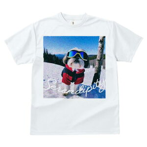 TVc Y LbY t@  t vg JWA 킢 lԗp tBbglX XL[ V[Y[ ~  XL[EFA