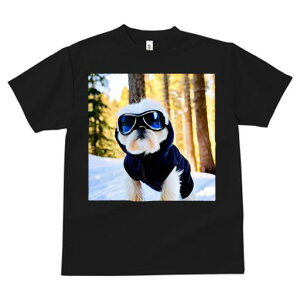 TVc fB[X t@  t vg JWA 킢 lԗp tBbglX XL[S[O V[Y[  ~ XL[EFA