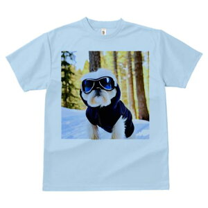 TVc Y LbY t@  t vg JWA 킢 lԗp tBbglX XL[S[O V[Y[  ~ XL[EFA