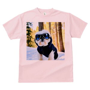 TVc Y LbY t@  t vg JWA 킢 lԗp tBbglX XL[S[O V[Y[  ~ XL[EFA